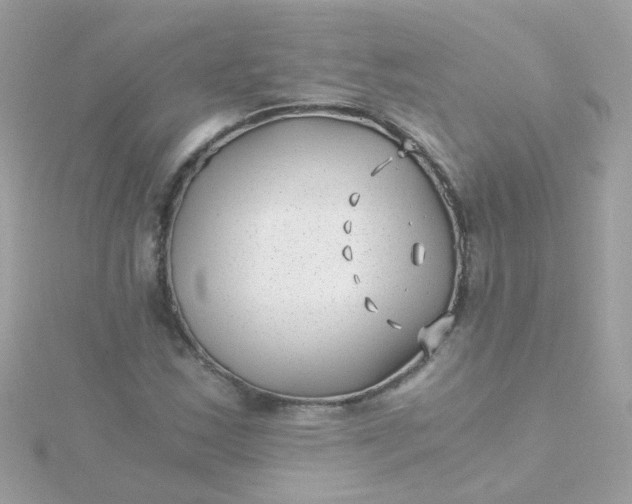 X0000115681163200911251745