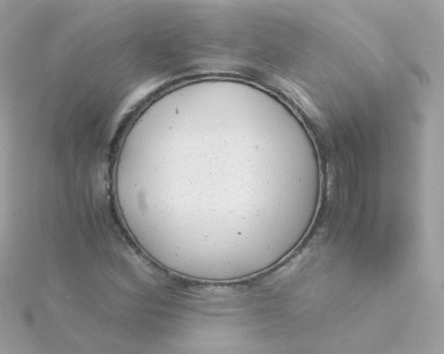 X0000115681164200911251745