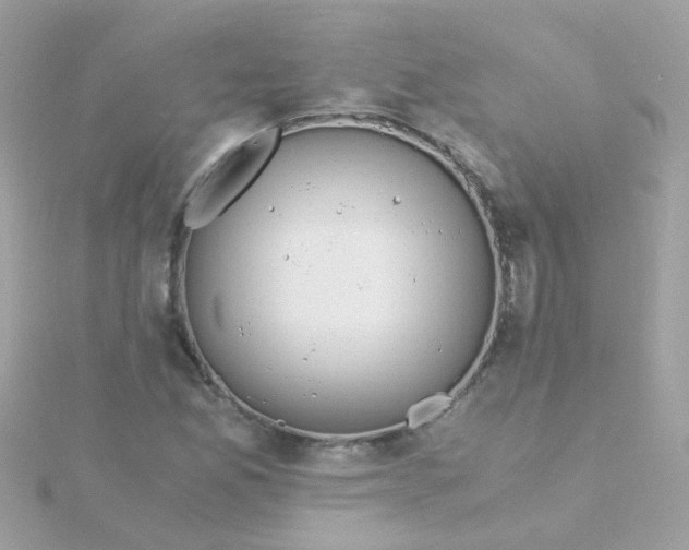 X0000115681165200911251745