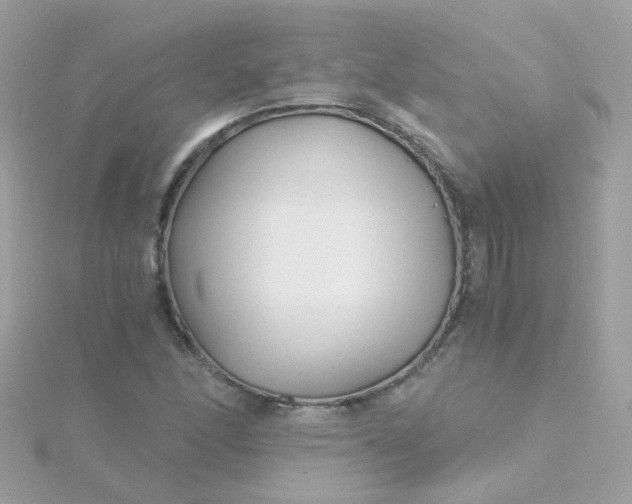 X0000115681166200911251745