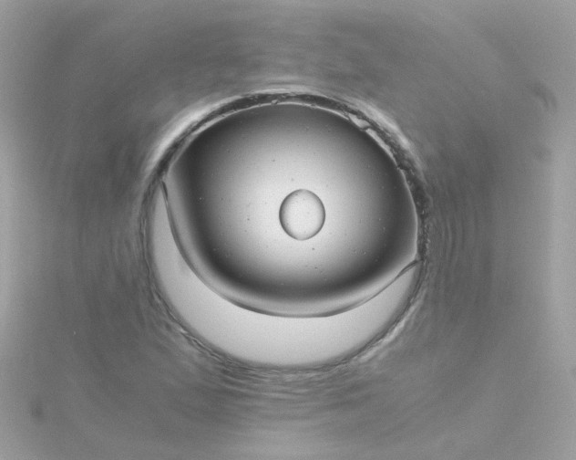 X0000115681167200911251745