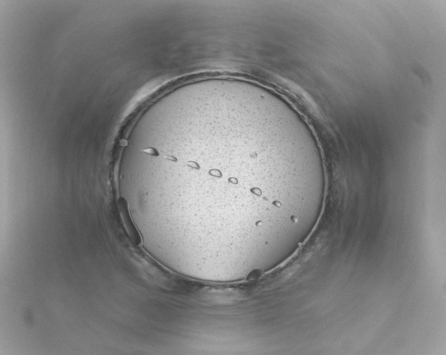 X0000115681168200911251745