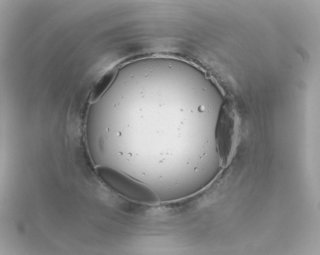 X0000115681169200911251745