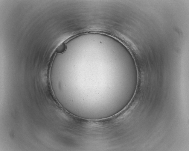 X0000115681170200911251745