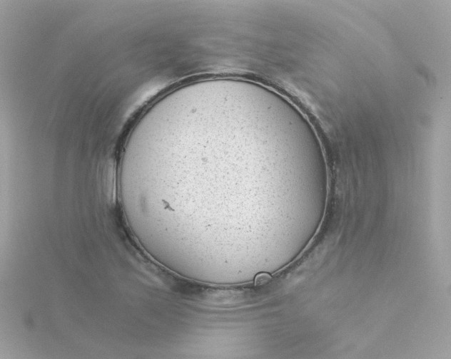 X0000115681171200911251745