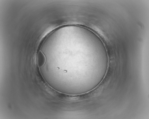 X0000115681173200911251745