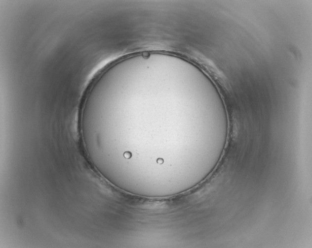 X0000115681174200911251745