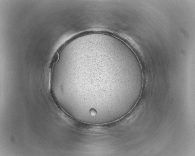 X0000115681175200911251745