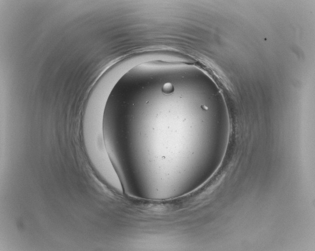 X0000115681177200911251745