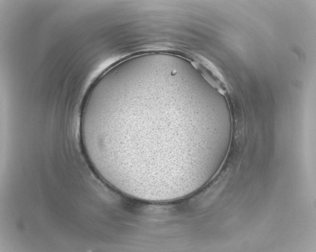 X0000115681179200911251745