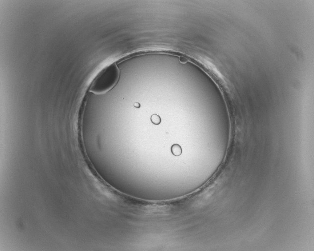 X0000115681181200911251745