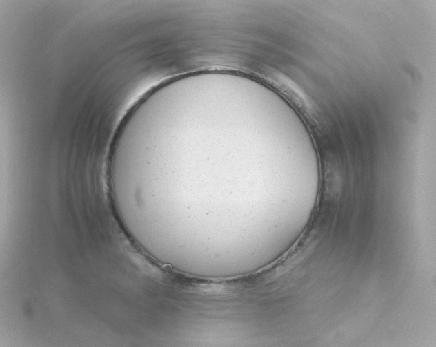 X0000115681182200911251745