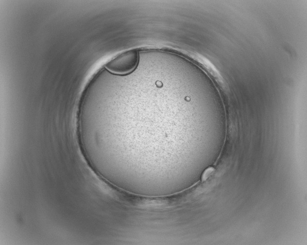 X0000115681183200911251745