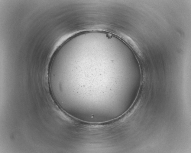 X0000115681184200911251745