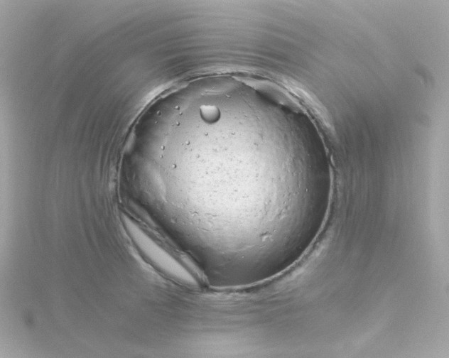 X0000115681185200911251745