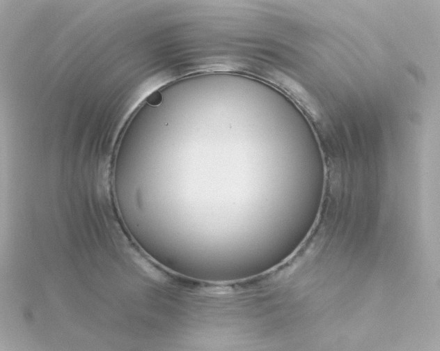 X0000115681186200911251745