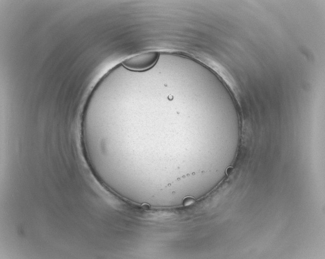 X0000115681187200911251745