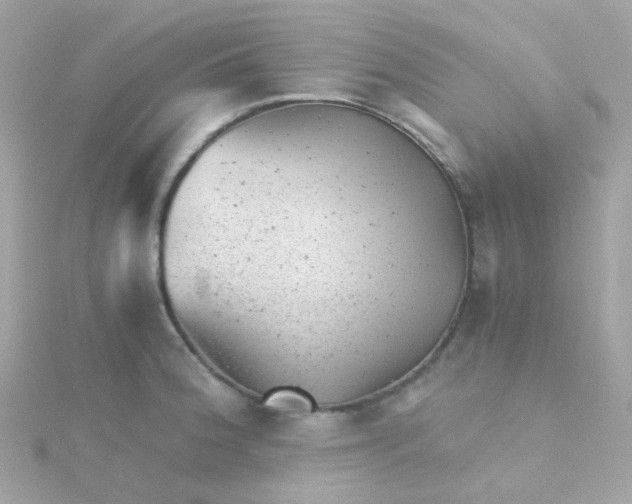 X0000115681188200911251745