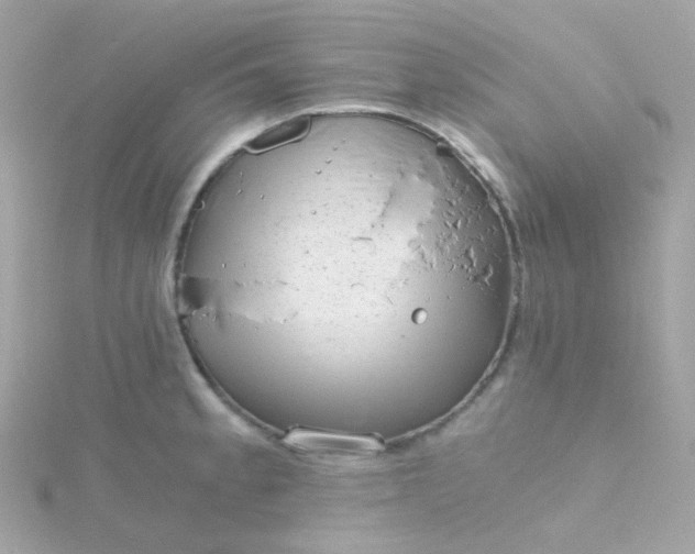 X0000115681189200911251745