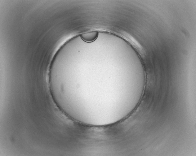 X0000115681190200911251745