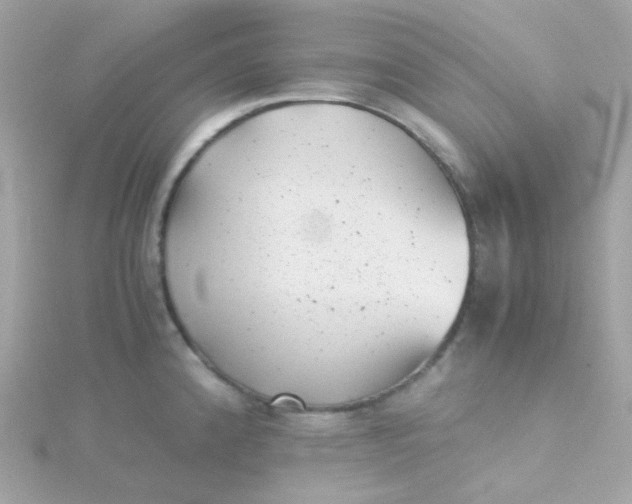 X0000115681192200911251745