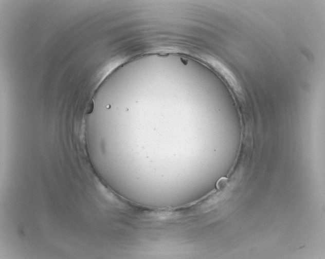 X0000115681193200911251745