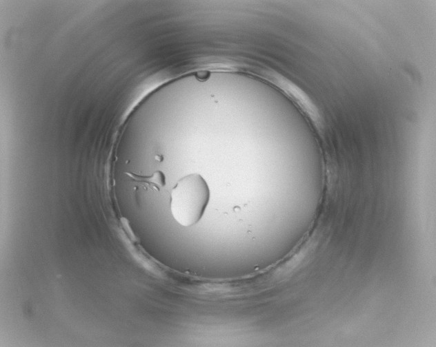 X0000115681194200911251745