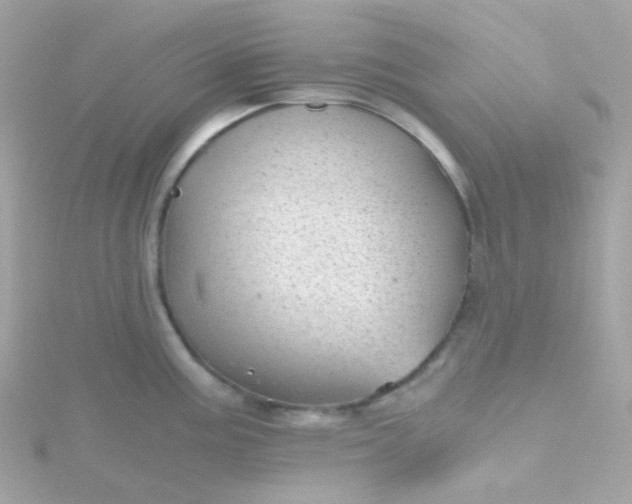 X0000115681195200911251745