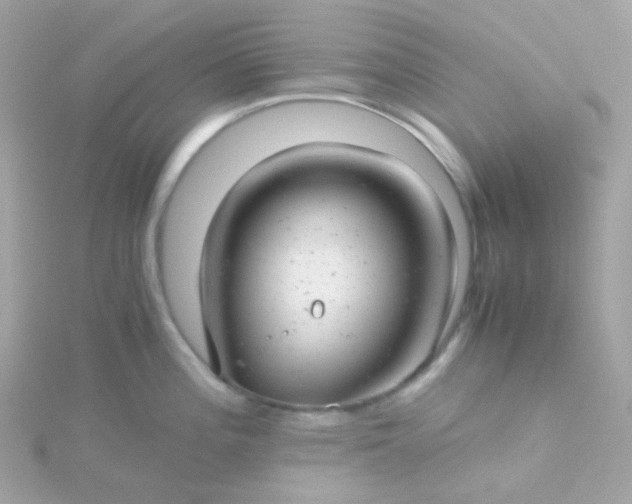 X0000115681196200911251745