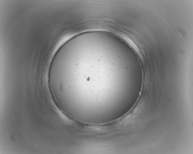 X0000115681197200911251745