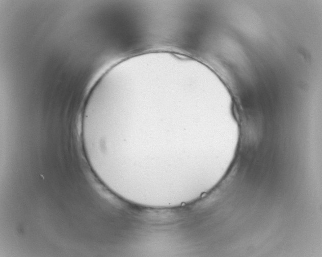 X0000115681198200911251745