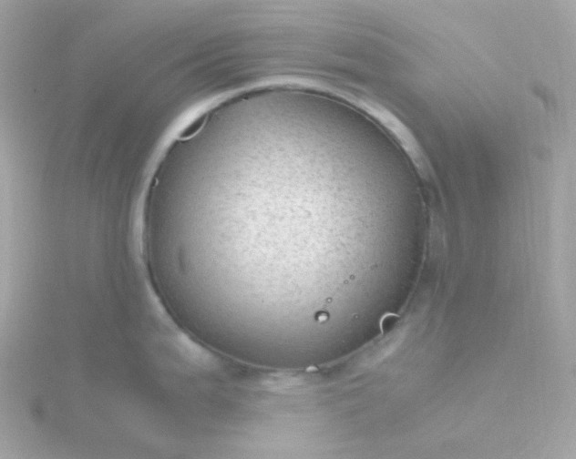 X0000115681199200911251745