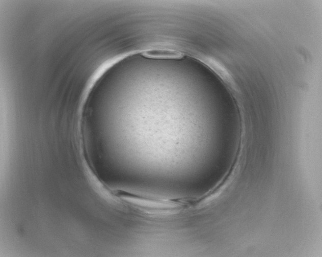 X0000115681200200911251745