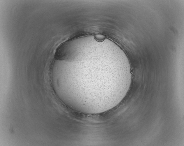 X0000115681201200911251744