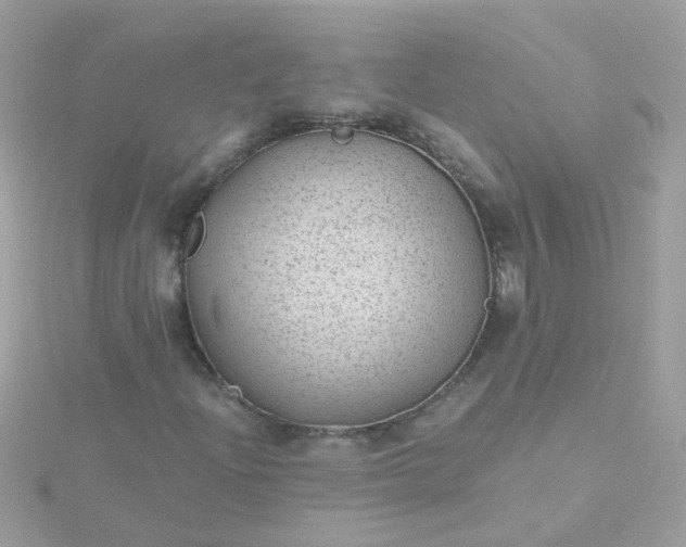 X0000115681204200911251744