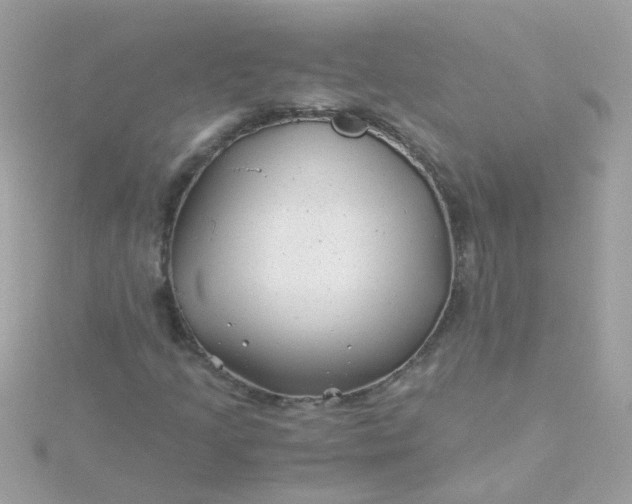 X0000115681205200911251744