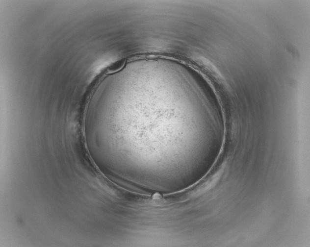 X0000115681210200911251744