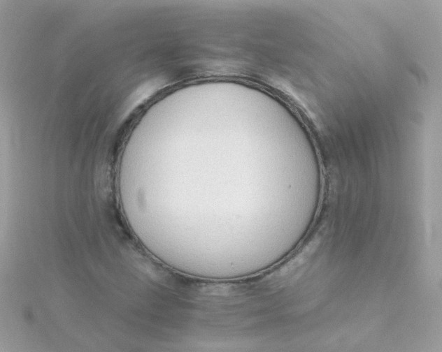 X0000115681211200911251744