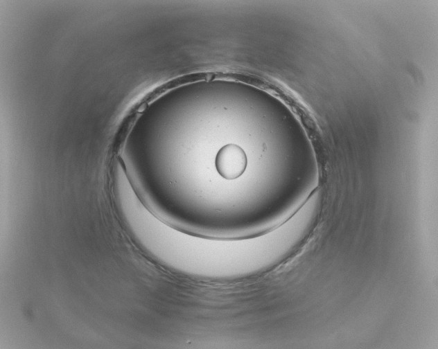 X0000115681215200911251744