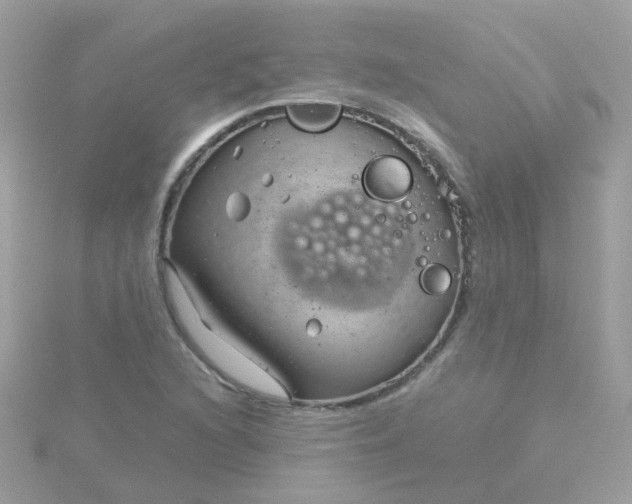 X0000115681216200911251744