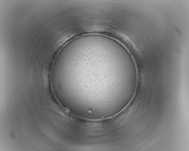 X0000115681217200911251744