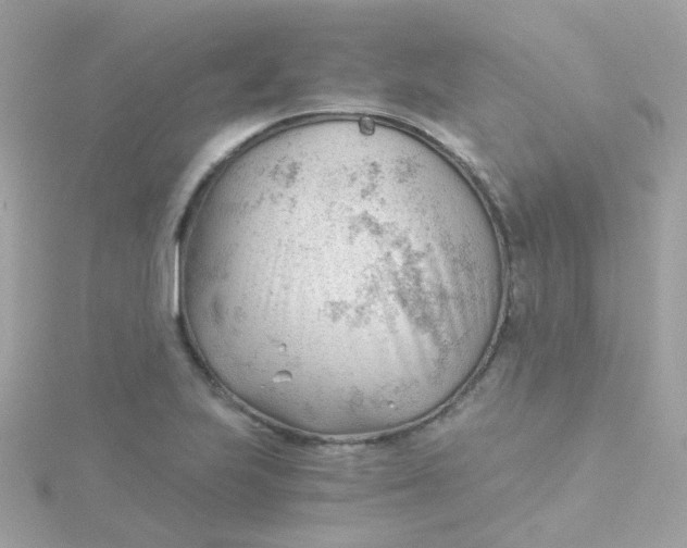 X0000115681223200911251744