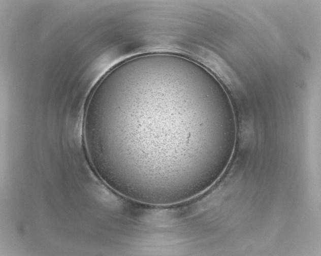 X0000115681228200911251745