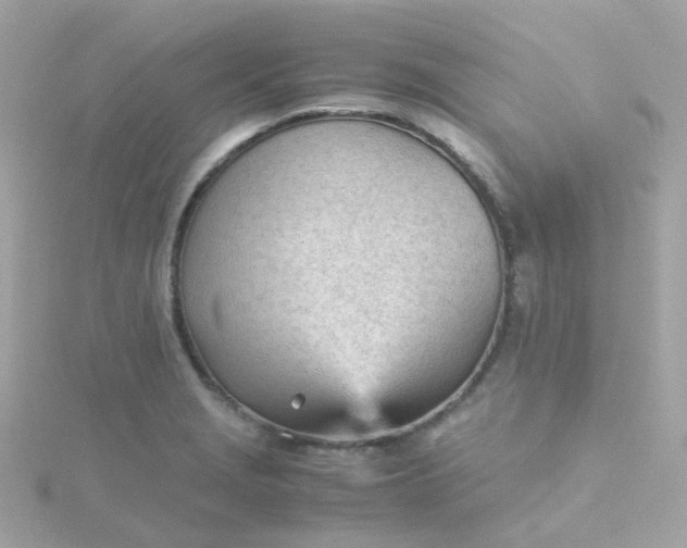 X0000115681229200911251745