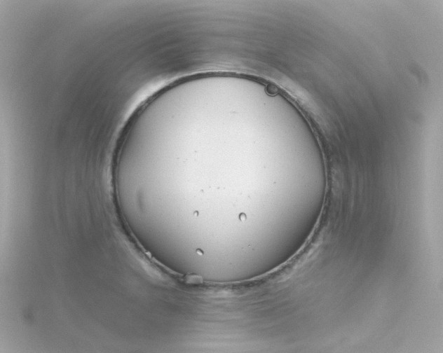 X0000115681230200911251745