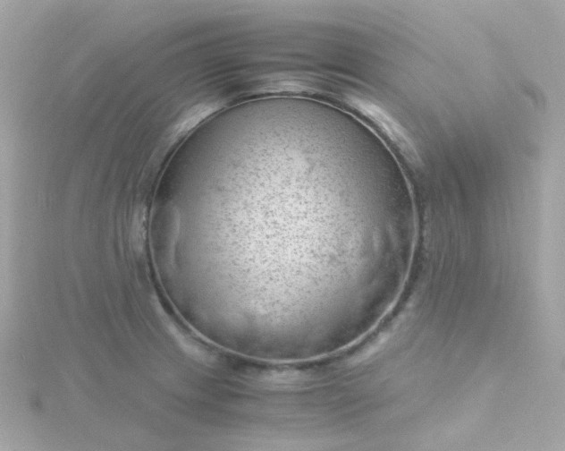 X0000115681233200911251745