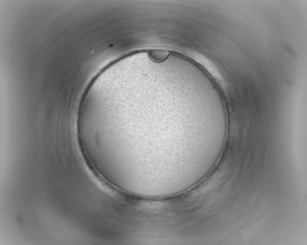 X0000115681237200911251745