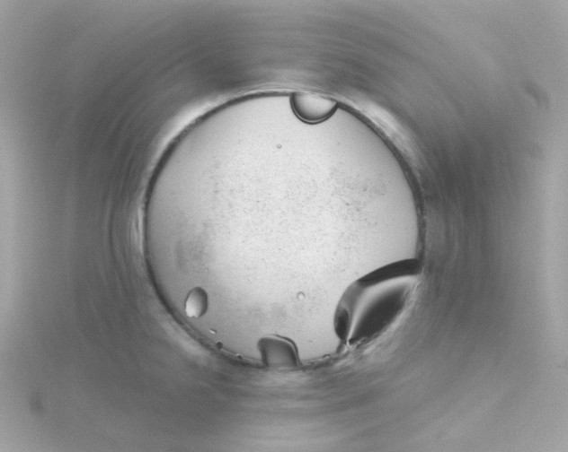 X0000115681238200911251745