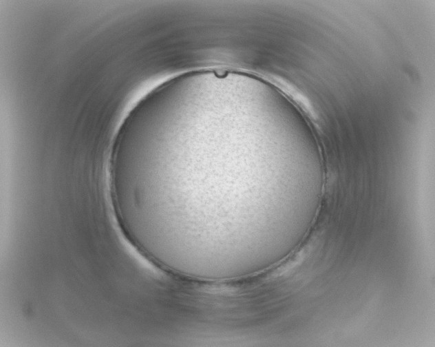 X0000115681239200911251745