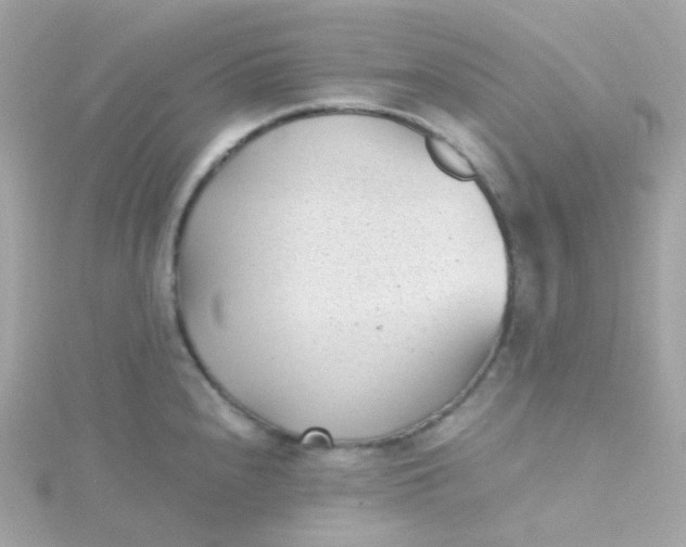 X0000115681240200911251745